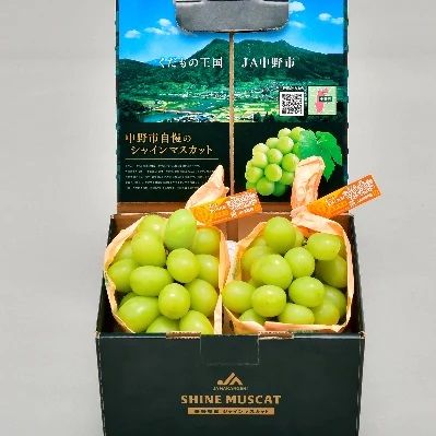 ふるさと納税で人気のぶどう特集 高級品からコスパの良いぶどうまでランキング形式で紹介 ナビナビクレジットカード